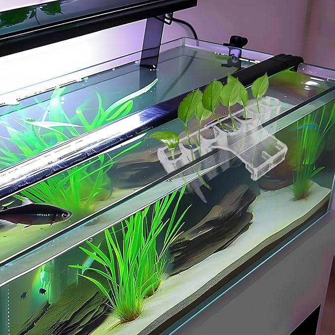2 Pack 7-Hole Aquarium Plant Holder with Long Hook - Hanging Aquatic Plant Pot for Fish Tank, Versatile Plant Holder - Ideal for Aquascape Decorations on Top of Tank (Transparent)