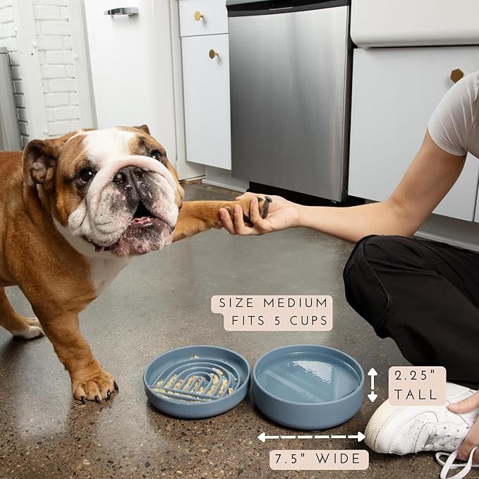 The Perfect Dish No-Spill Dog Water Bowl, Less Mess Non-Tippable Water & Food Bowl, Pure Silicone with Suction Cup, Fits 5 Cups 7.5" Across x 2.25" Tall Ideal for All Pets, Medium-Spruce