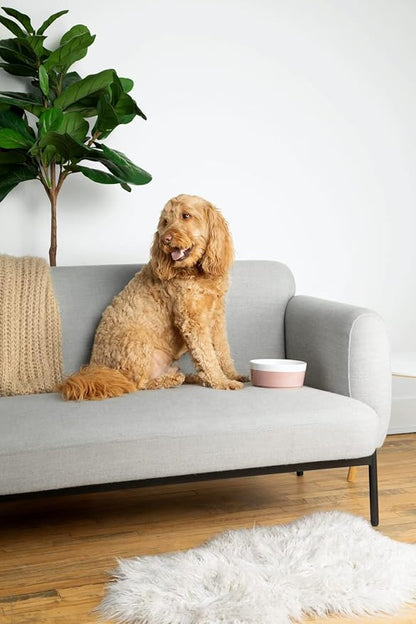 Waggo Dipper Ceramic Dog Bowl for Small and Large Breeds - Heavyweight and Durable Pet Food and Water Dish Crock, Dishwasher Safe, Modern (Teracotta, Medium)