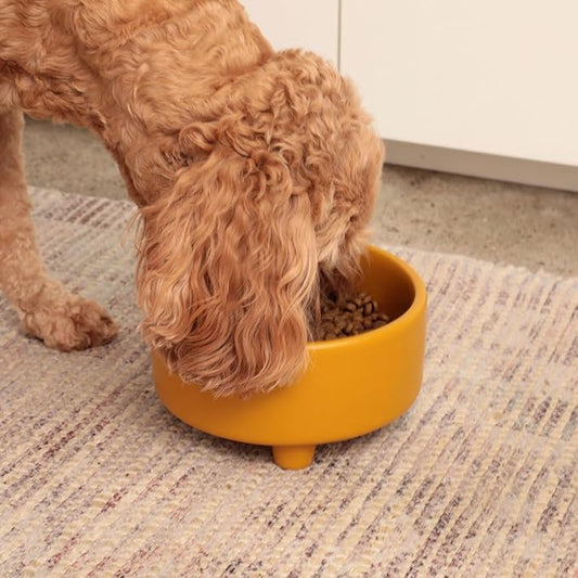 Waggo Uplift Ceramic Dog Bowl for Small Medium and Large Breeds - Heavyweight and Durable Pet Food and Water Dish Crock, Dishwasher Safe, Modern, Elevated Feeder (Mustard, Large)