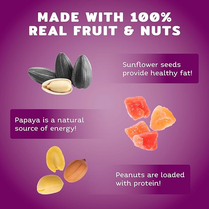 Audubon Park Nut & Fruit Wild Bird Seed – 8 lb. Premium Blend with Sunflower Seeds, Peanuts, Safflower & Dried Fruit – Bird Food for Outside Feeders