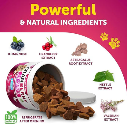 Dog UTI Treatment - Cranberry Supplement and Bladder Control for Dogs - UTI Chewable Treats (2 Pack) - 240 Chews for Kidney Support - Bladder Stones - Urinary Tract Infection Incontinence Treatment
