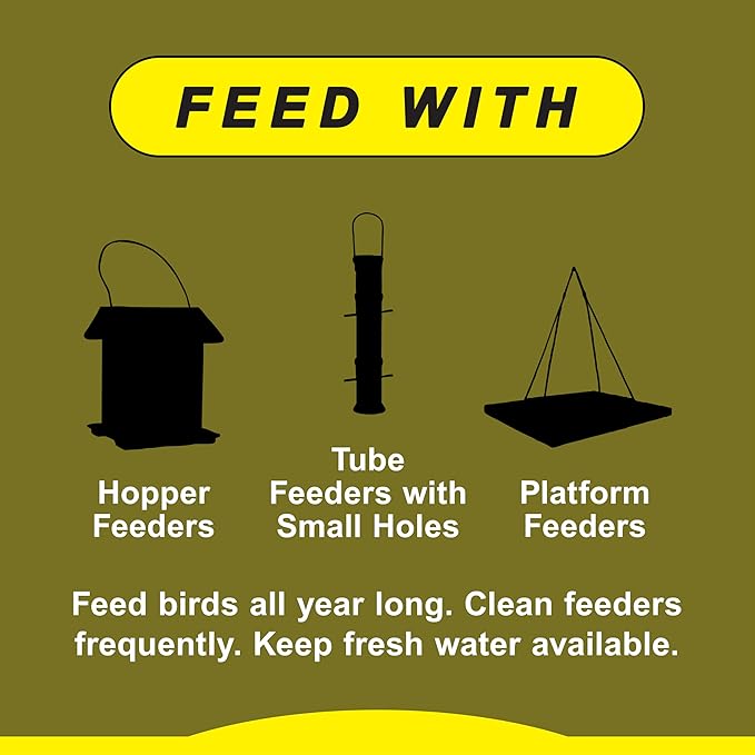 Wild Delight Special Finch Food, 5 lb