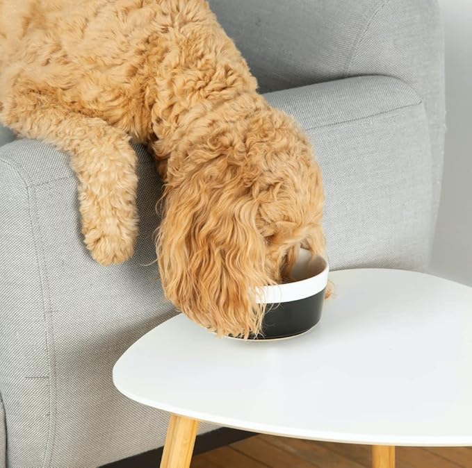 Waggo Dipper Ceramic Dog Bowl for Small and Large Breeds - Heavyweight and Durable Pet Food and Water Dish Crock, Dishwasher Safe, Modern (Black, Large)
