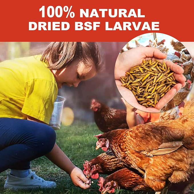 11LB Dried Black Solider Fly Larvae, BSFL is High Protein Chicken Feed with 85x More Calcium Than Dried Mealworms, Poultry Treats, Chickens Love, Birds Love, Hens Love, Ducks Love