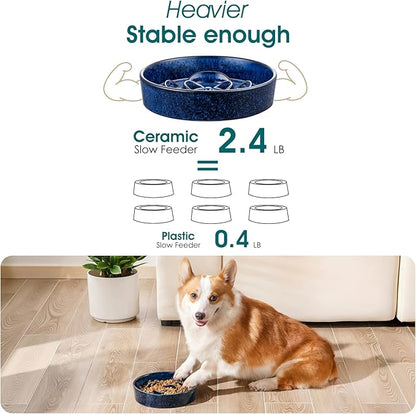 vancasso Slow Feeder Dog Bowl, 1.5 Cups Ceramic Slow Feeder for Medium Breed, Puzzle Maze Dog Food Bowl for Fast Eater, Blue