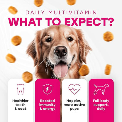 24-in-1 Complete Multivitamin Treats for Dogs - PhD Endorsed 8 Vitamins, Biotin, Probiotics, Glucosamine - Daily Wellness, Immunity, Skin & Coat, Mobility 140 Treats - Bacon Flavor - Made in USA