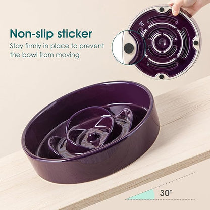 vancasso Slow Feeder Dog Bowl, 1.5 Cups Ceramic Slow Feeder for Medium Breed, Puzzle Maze Food Dog Bowl for Fast Eater, Dark Purple