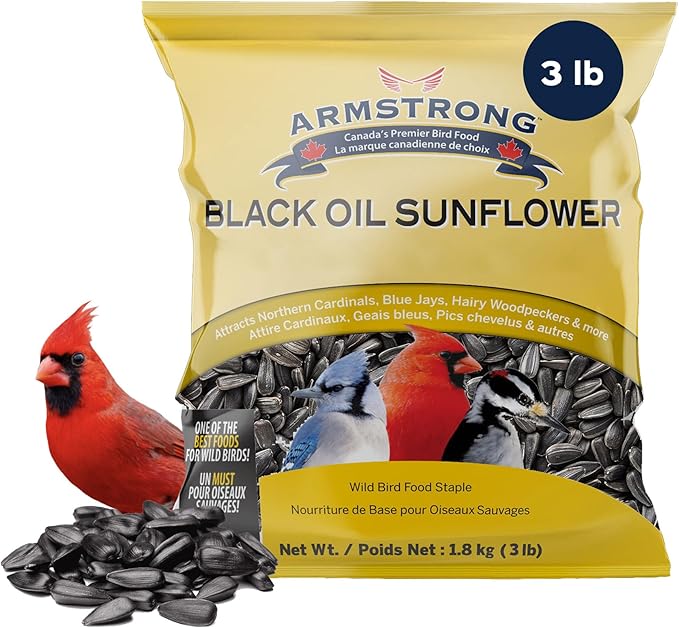 Armstrong Wild Bird Food Black Oil Sunflower Bird Seed, 3 Pounds - for Northern Cardinals, Blue Jays and Hairy Woodpeckers - Ideal for Outside Feeders