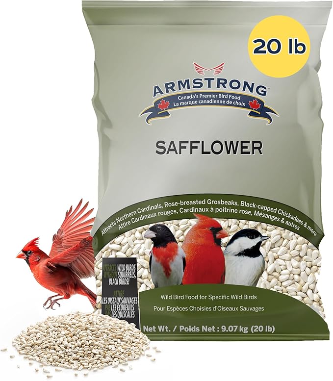 Armstrong Wild Bird Food Safflower Bird Seed, 20 Pounds - for Northern Cardinals, Rose-Breasted Grosbeaks and Black-Capped Chickadees - Ideal for Outside Feeders