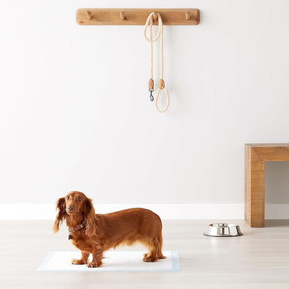 Amazon Basics Heavy Duty Dog and Puppy Pee Pads, 5-Layer Leak-Proof Ultra Absorbent, Quick-Dry Surface, Potty Training, Regular (24x23"), 80 Count, Blue & White