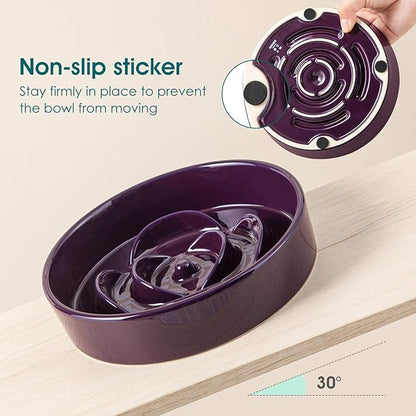 vancasso Slow Feeder Dog Bowl, 0.6 Cups Ceramic Dog Food Dish for Fast Eaters Small Breed, Puzzle Bowl for Small Dogs and Cats, Dark Purple