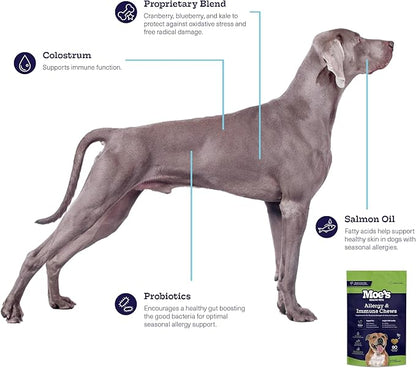 Moe’s Allergy and Immune Chews for Dogs – 90ct Soft Dog Allergy Supplement Bites for Itchy Skin, Seasonal Allergies and Skin Health – Vet-Formulated (Savory Chicken)