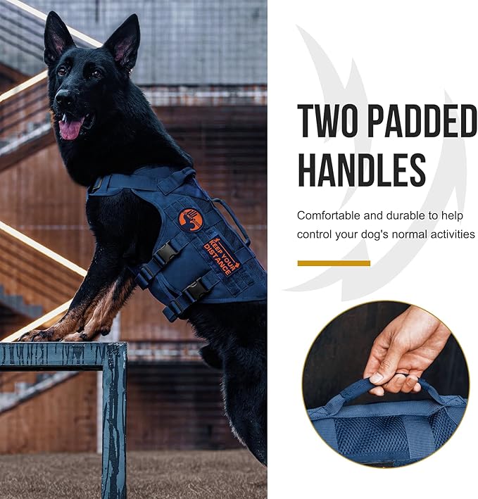 OneTigris Tactical Dog Harness for Small Medium Large Dogs, Mesh Design Service Dog Vest Breathable Military Dogs Molle Vests with Handles, Harness for Walking Hiking Training (Blue, XL)