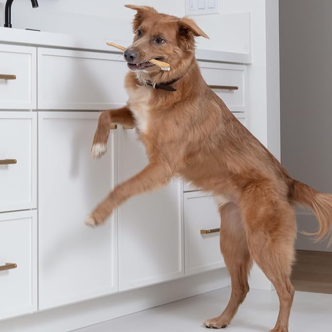 Dog Toothbrush I 4-Pack Two Sided Bamboo Toothbrush for Small and Large Dogs & Cats I Soft Bristles Gentle for Easy Dog Teeth Brushing & Dental Care