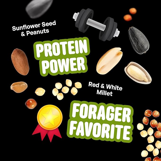 All Birds Wild Bird Seed – 10 lb. Classic Blend with Black Oil Sunflower, White Millet, Safflower, Peanuts & Sunflower Hearts – Balanced Bird Food for Outside Feeders