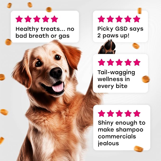 24-in-1 Complete Multivitamin Treats for Dogs - PhD Endorsed 8 Vitamins, Biotin, Probiotics, Glucosamine - Daily Wellness, Immunity, Skin & Coat, Mobility 140 Treats - Bacon Flavor - Made in USA