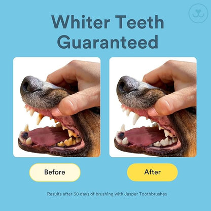 Jasper Dog Toothbrush, 360 Degree Pet Tooth Brushing Kit, Cat Toothbrush, Canine Dental Care & Teeth Cleaning Kit, Pet Finger Tooth Brush, Use with Dog Toothpaste, 4-Pack Multicolor