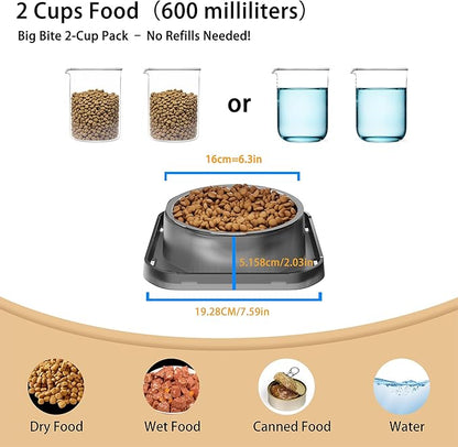 Stainless Steel Dog Bowls, Spill Proof Basic Dogs Bowls for Small Dogs Cats, 2 Cup Dog Food and Water Bowl, Non-Slip Puppy Feeder, Cat Bowl for Feeding Water - Starry Gray