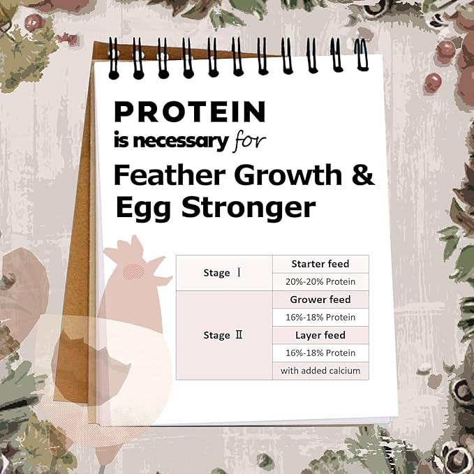 Adaman Dried Black Soldier Fly Larvae 20 LBS-100% Natural Non-GMO BSF Larvae-More Calcium Than Dried Mealworms High-Protein Chickens Treats, Food for Birds, Ducks, Repitle, Hedgehog, Bearded Dragon