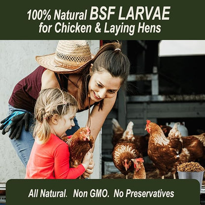 Adaman Dried Black Soldier Fly Larvae 10 LBS-100% Natural Non-GMO BSF Larvae-More Calcium Than Dried Mealworms High-Protein Chickens Treats, Food for Wild Birds, Ducks, Layer Hens