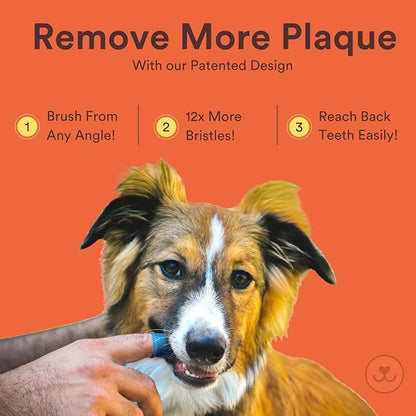 Jasper Dog Toothbrush, 360 Degree Pet Tooth Brushing Kit, Cat Toothbrush, Canine Dental Care & Teeth Cleaning Kit, Pet Finger Tooth Brush, Use with Dog Toothpaste, 4-Pack Multicolor