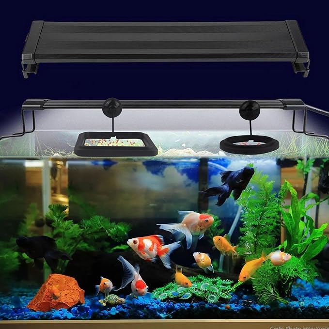 2 Pcs Small Fish Feeding Ring, Floating Food Feeder with Strong Suction Cup Aquarium Feeding Ring for Floating Aquariums and Fish Tanks