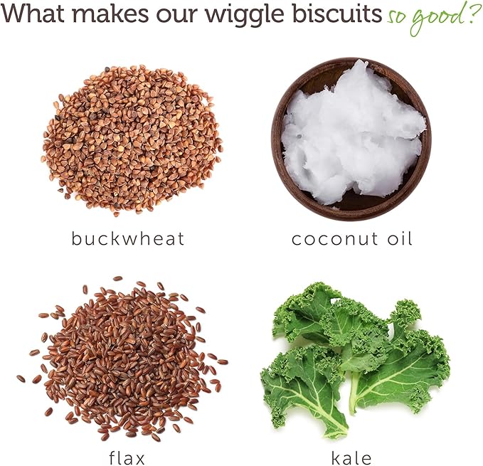 V-dog Plant Based Mini Kibble Dog Food, Blueberry Wiggle Biscuits, Breath Bones, Jerky Treats - 4.5LB Complete Vegan Nutrition for Small Dogs