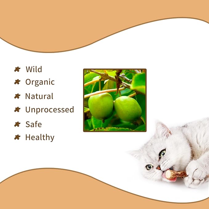 [ 35pcs Silvervine Sticks for Cats, Matatabi Cat Chew Sticks, Catnip Toys, Wooden Dental Sticks for Indoor Cats, Kitty, Kitten Teething Interactive Wand Toys