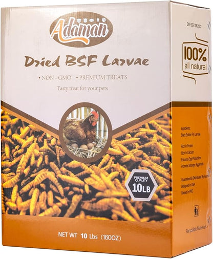 Adaman Dried Black Soldier Fly Larvae 10 LBS-100% Natural Non-GMO BSF Larvae-More Calcium Than Dried Mealworms High-Protein Chickens Treats, Food for Wild Birds, Ducks, Layer Hens