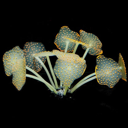 Uniclife Silicone Coral Plant Decorations Glowing Artificial Ornament for Fish Tank Aquarium, Orange, Ball Shape Glow Fish Tank Decorations for Betta Fish