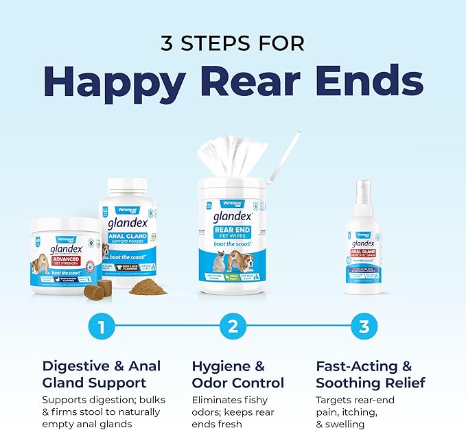 Vetnique Labs Glandex Anal Gland Soft Chew Treats with Pumpkin for Dogs Digestive Enzymes, Probiotics Fiber Supplement for Dogs Boot The Scoot (Pork Liver Chews, 60 Count)