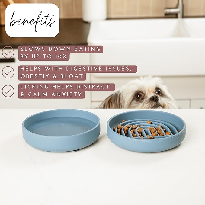 The Slowdown Bowl Silicone Slow Feeder for Cats & Dogs, Slow Eating Mealtime Solution with Modern Lick Mat Design, Reduces Gulping, Fits 1 Cup 6” Across x 1.25” Tall, Small-Sage