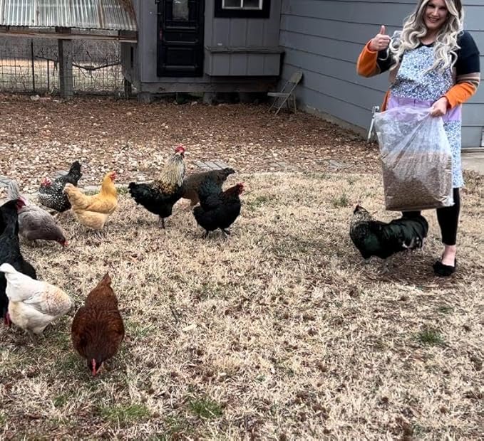 10lbs Dried Mealworms - Premium Non-GMO Chicken Feed, Nutritious High Protein Meal Worms- Food and Treats for Laying Hens, Wild Birds, Ducks, Chicken