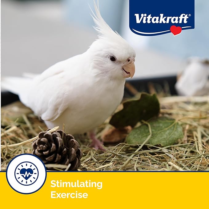 Vitakraft Crunch Sticks Cockatiel Treat - Apricot and Peach - Pet Bird Treat Toy, 3.5 oz