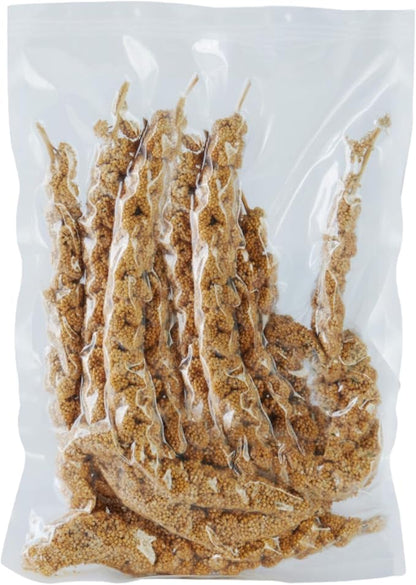 1.1LB Vacuum Sealed Spray Millet Treat for Birds Parakeets, Natural Sun-Dried Birds Millet for Cockatiel, Budgie, Finches, Parrots, Hamster(500 Gram)