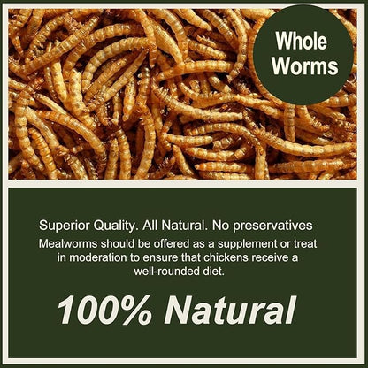 Adaman Dried Mealworms -5 LBS- 100% Natural High Protein Mealworms - Bulk Meal Worms for Blue Birds, Chickens, Ducks - Best Chicken Treats, Bird Food, Turtle Food