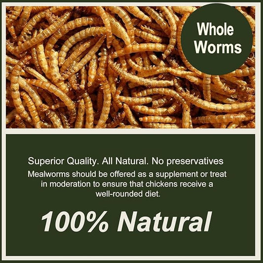 Adaman Dried Mealworms -10 LBS- 100% Natural Non GMO High Protein Mealworms - Bulk Meal Worms for Chickens & Birds, Ducks - Best Chicken Treats, Bird Food, Turtle Food