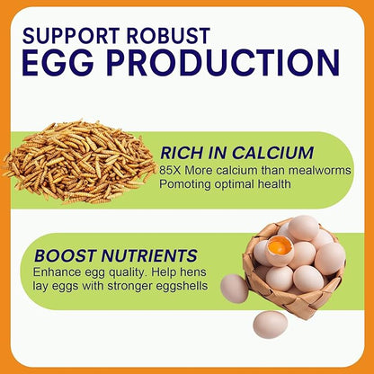 5lbs Dried Black Soldier Fly Larvae for Chickens - 100% Natural BSF Larvae More Calcium Than Dried Mealworms - High Protein BSFL Chicken Treats for Laying Hens Ducks Birds