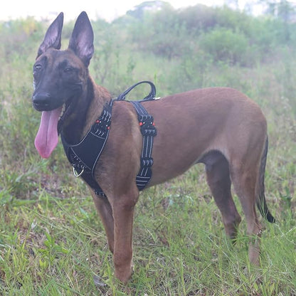 ICEFANG Dog Strap Harness with 4 x Metal Buckles,for X-Large Sized Dog,K9 Vest,Y-Shape Chest,Adjustable Pet Harness,No-Pull Front Leash Clip (X-Large (Pack of 1), Black)