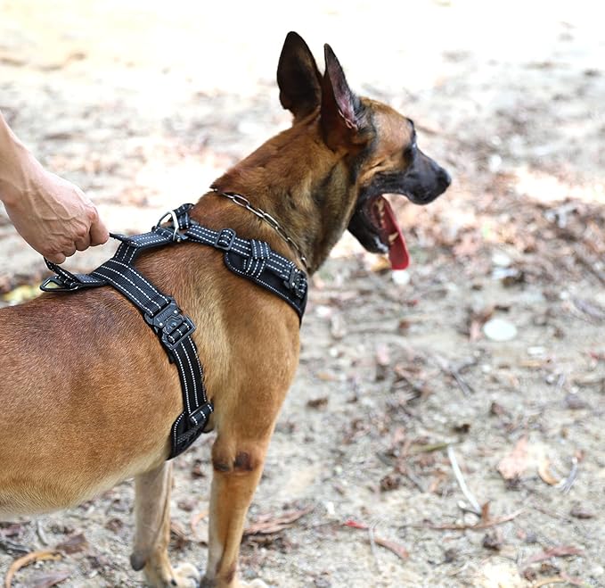 ICEFANG Dog Strap Harness with 4 x Metal Buckles,for Large Sized Dog,K9 Vest,Y-Shape Chest,Adjustable Pet Harness,No-Pull Front Leash Clip (Large (Pack of 1), Black)