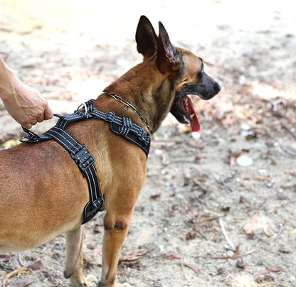 ICEFANG Dog Strap Harness with 4 x Metal Buckles,for Large Sized Dog,K9 Vest,Y-Shape Chest,Adjustable Pet Harness,No-Pull Front Leash Clip (Large (Pack of 1), Black)