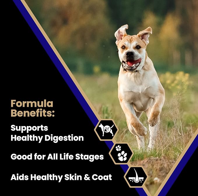 VICTOR Super Premium Dog Food – Select Beef Meal & Brown Rice Formula for Immune and Gut Health – Gluten-Free Beef Meal Dry Dog Food for All Normally Active Dogs of All Life Stages, 15 lbs