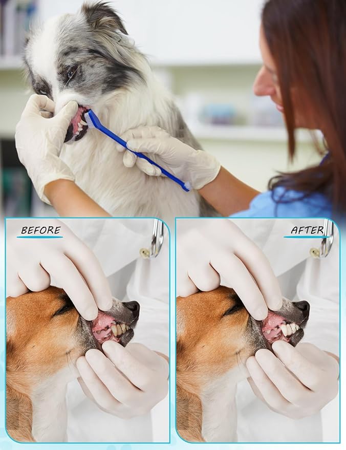 300 Pcs Dog Toothbrush Bulk Dual-Headed Toothbrush for Dogs Teeth Cleaning Dog Tooth Brush for Large Small Dogs Cats Puppy Teeth Cleaning Oral Dental Care Supplies 10 Colors