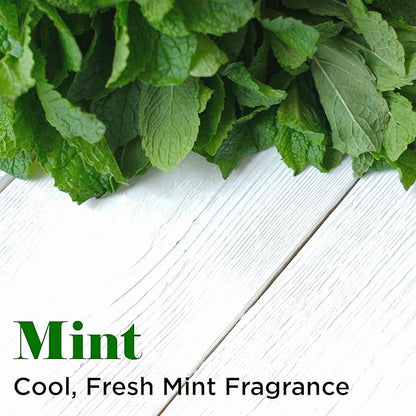 White Mint Brightening Shampoo - Gallon