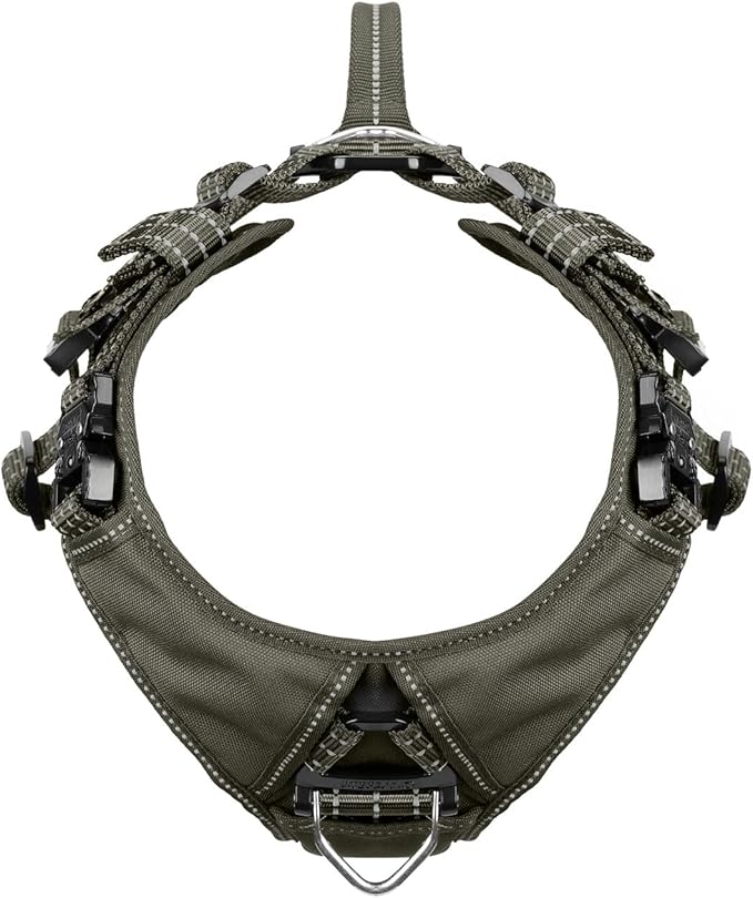 ICEFANG Dog Strap Harness with 4 x Metal Buckles,for Medium Sized Dog,K9 Vest,Y-Shape Chest,Adjustable Pet Harness,No-Pull Front Leash Clip (Medium (Pack of 1), Green)