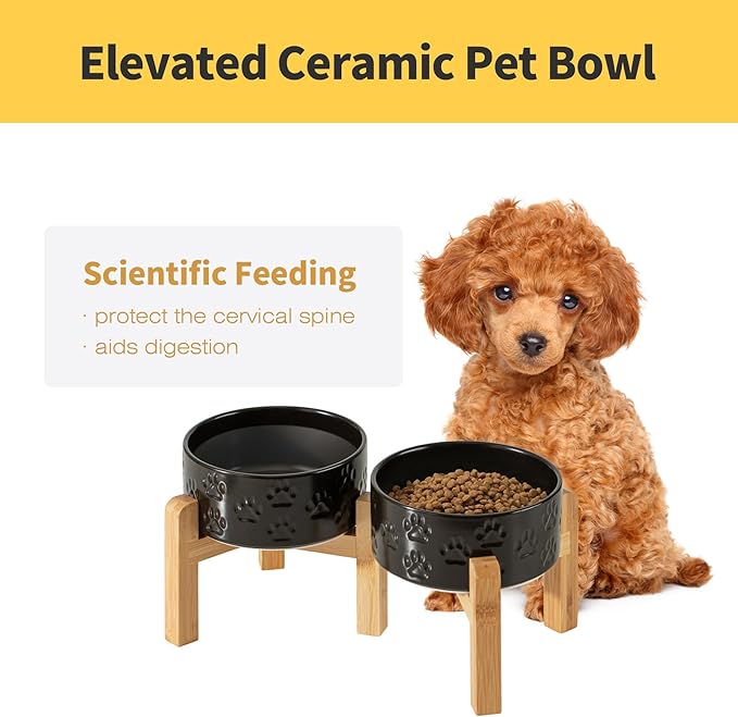 6" Raised Ceramic Dog Bowl Set, 3.5-Cup Dog Dishes with Two-Height Stand, Elevated Food and Water Bowls for Small Breed Dogs, Microwave Safe (Double Bowls + Stand - Black, 6 inch)