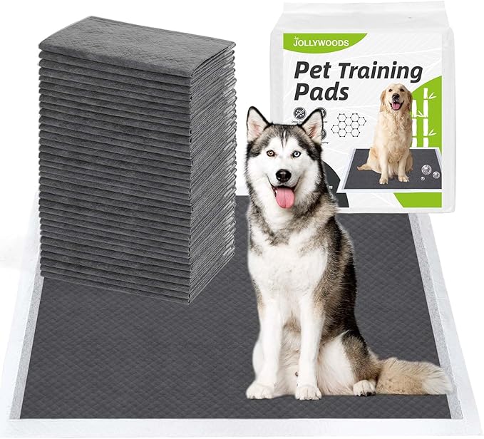 Disposable Dog Pee Pads, 24" x 36" Odor-Control Bamboo Charcoal Fiber Puppy Pads, Super Absorbent & Leak Proof Pet Training Pads, Quick Dry for Dogs, Cats and Rabbits - 20 Counts
