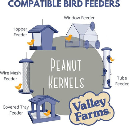 Valley Farms Whole Peanut Kernels (15 LB) Wild Bird Food for Outside Feeders, Peanuts for Birds, Chickadee Bird Seed for Outside Feeders, No Mess Bird Seed
