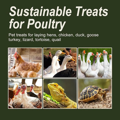 Adaman Dried Black Soldier Fly Larvae 10 LBS-100% Natural Non-GMO BSF Larvae-More Calcium Than Dried Mealworms High-Protein Chickens Treats, Food for Wild Birds, Ducks, Layer Hens